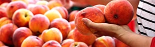 fresh fruit